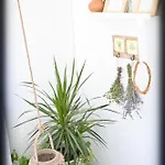 Casa Fotografului