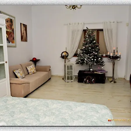 Case de vacanță Casa Fotografului