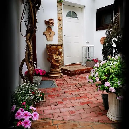 Casa Fotografului Köstence