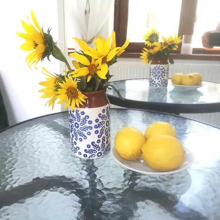 Сasa de vacaciones Casa Fotografului *