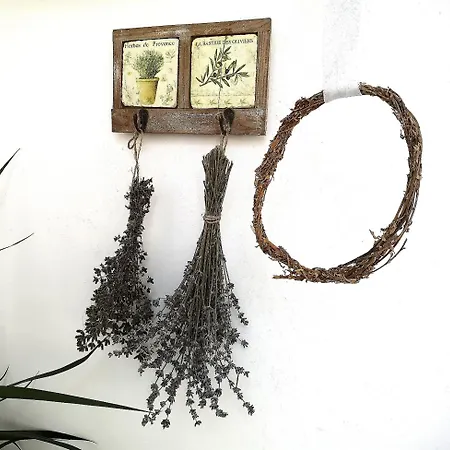Casa Fotografului Constanţa