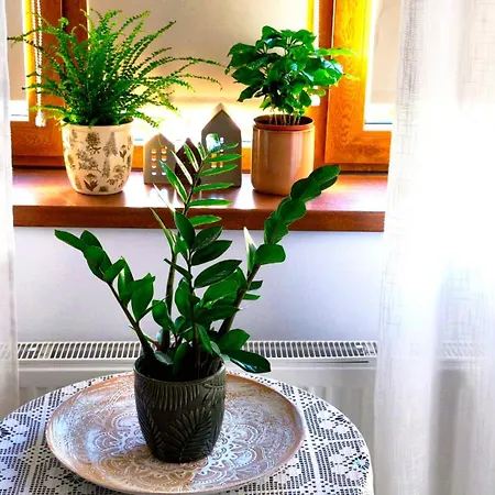 Сasa de vacaciones Casa Fotografului Constanţa