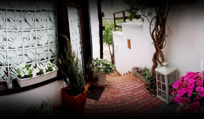 Casa Fotografului Tatil Evi Köstence