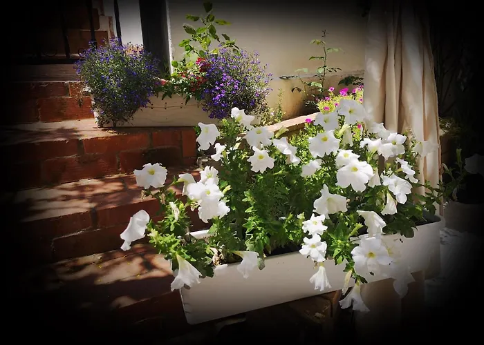 Casa Fotografului Tatil Evi *