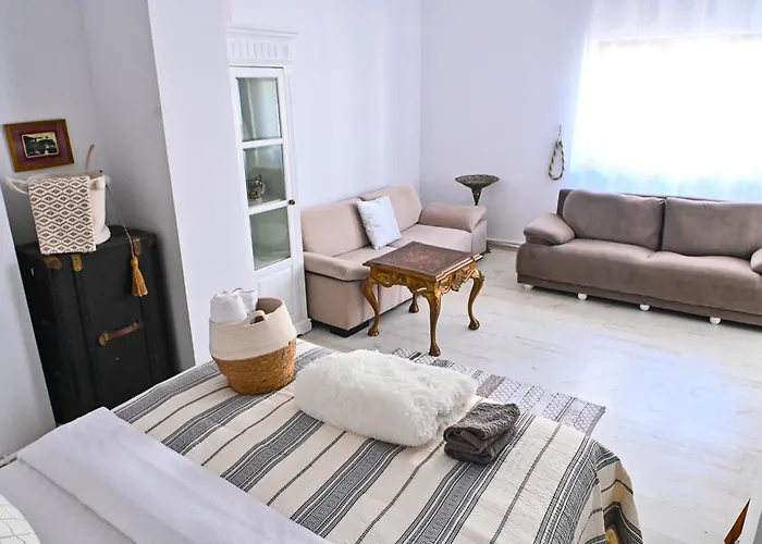 Tatil Evi Casa Fotografului Köstence