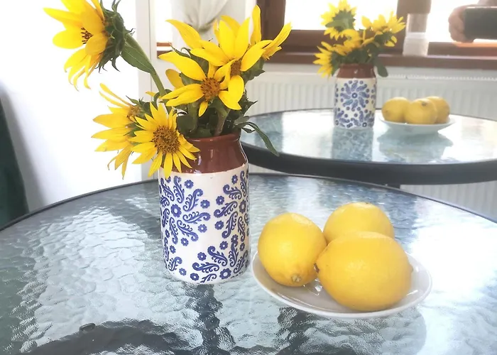 Tatil Evi Casa Fotografului *