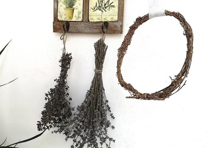 Casa Fotografului Köstence